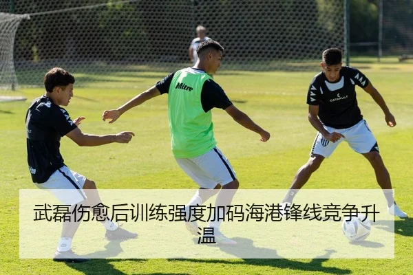 武磊伤愈后训练强度加码海港锋线竞争升温